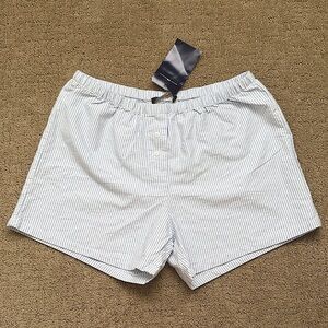 NWT Brandy Melville striped blue boxer shorts